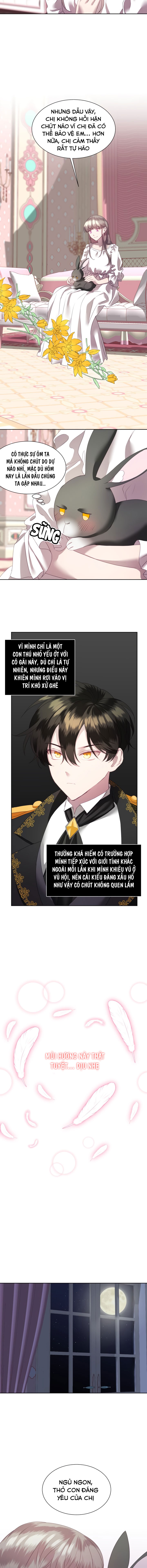công chúa giả mạo và chú thỏ con chapter 3 5