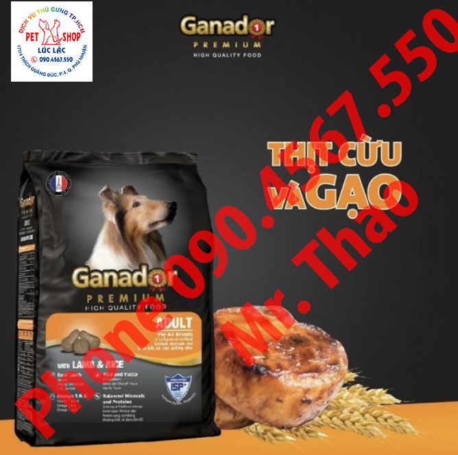 Combo 2 gói thức ăn cho chó trưởng thành Ganador vị thịt cừu và gạo Adult Lamb and Rice 3kg