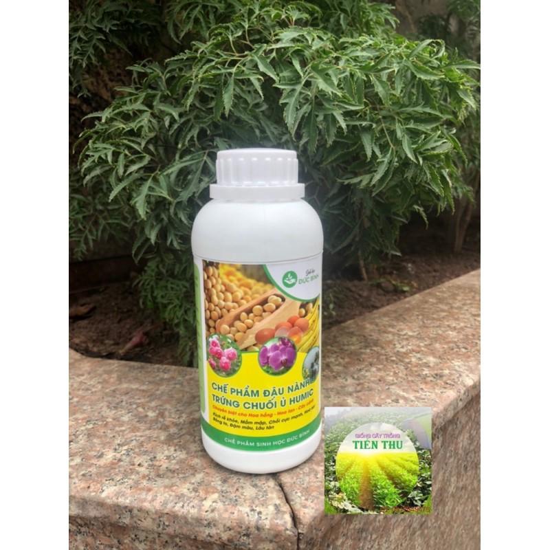 CHẾ PHẨM ĐẬU NÀNH TRỨNG CHUỐI Ủ HUMIC