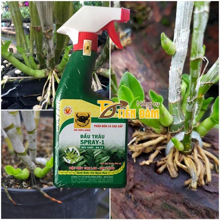 Bộ 3 Hộp Đầu Trâu Spray 1,2,3 Phân Bón Lá Cao Cấp Chuyên Hoa – Cây Kiểng