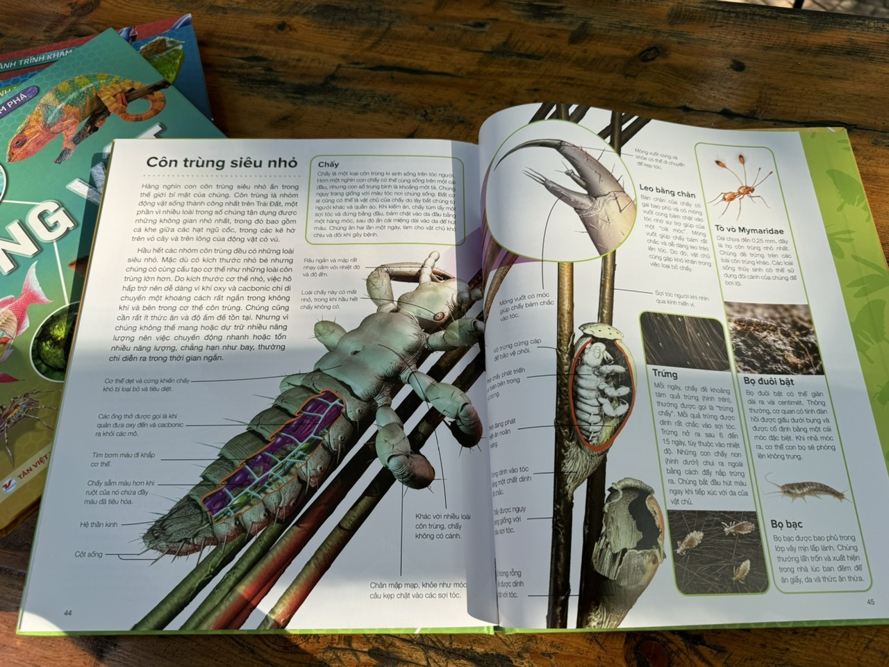 HÀNH TRÌNH KHÁM PHÁ -CÔN TRÙNG _Gerald Legg & Steve Weston- Hồng Nhung dịch- Tân Việt - NXB Mỹ Thuật