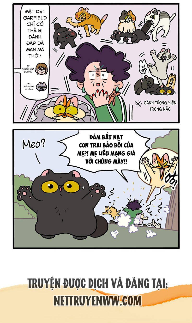 a mãn và mạch trà chapter 45 6