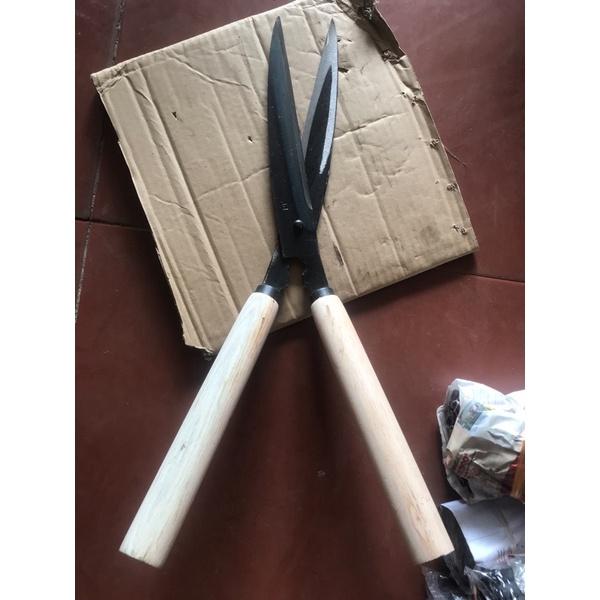 Kéo cắt cây tỉa cành