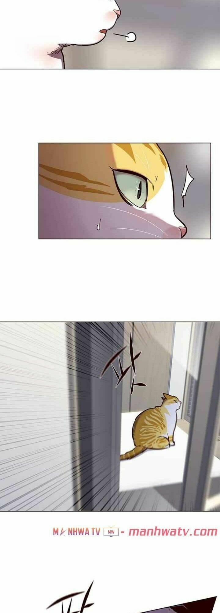 biến thân thành mèo chapter 92 59