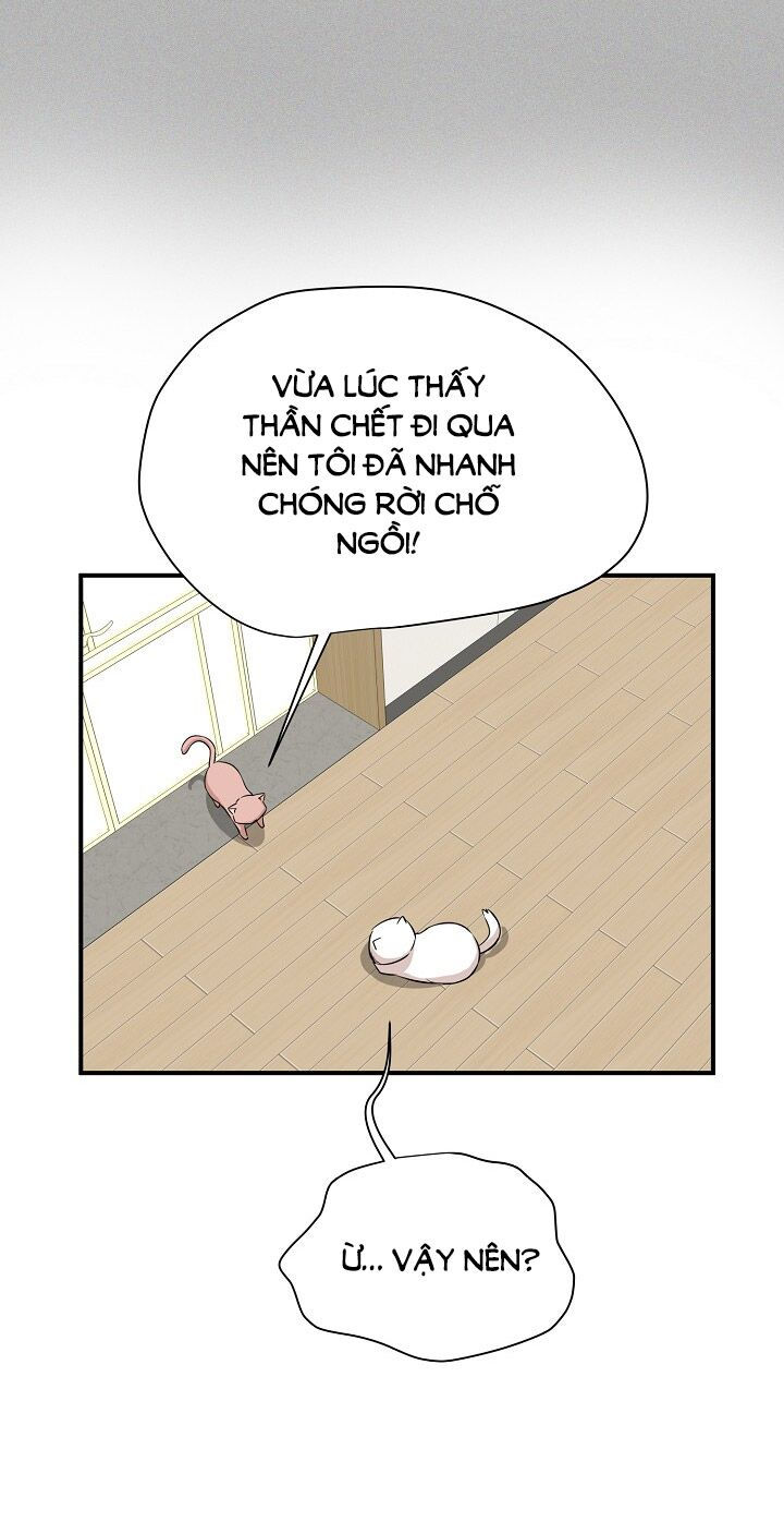 cuộc sống kỳ thú chapter 45 11