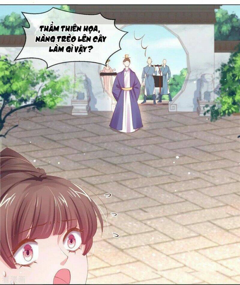 thị huyết y phi chapter 82 9