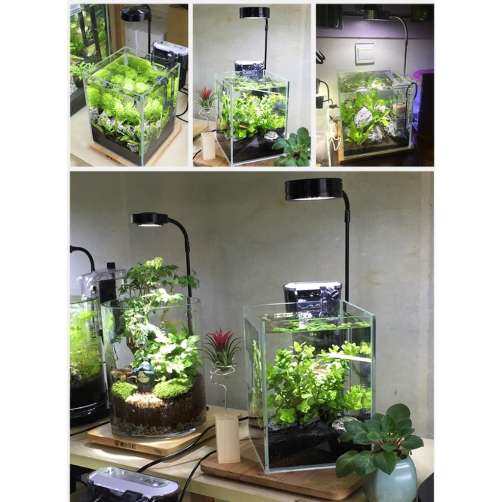 Đèn Led Kèm Đế Gỗ Bambo - Led Thớt cho bể cá cảnh, thuỷ sinh, bán cạn