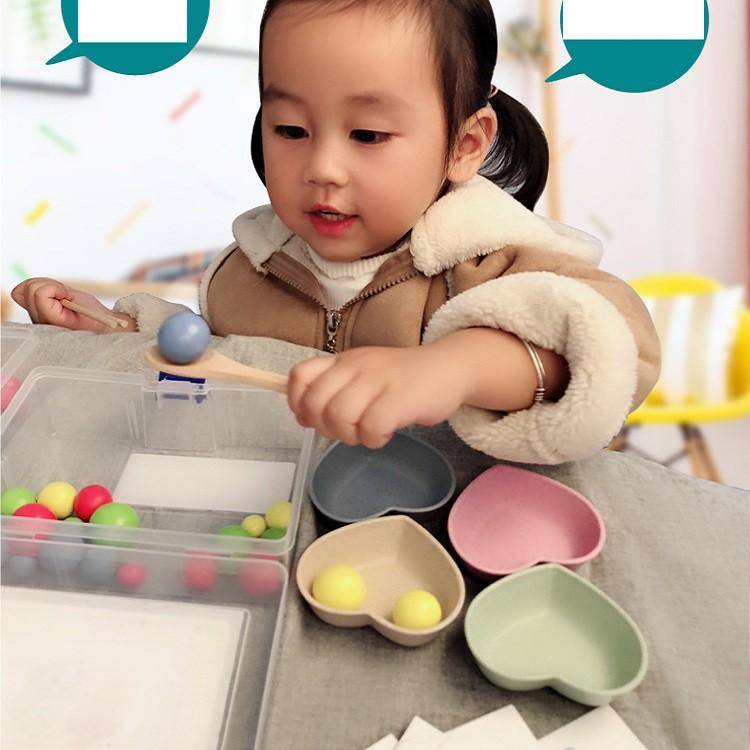 Bộ đồ chơi giáo cụ Montessori thực hành tập dùng thìa và đũa gắp bi gỗ cho bé