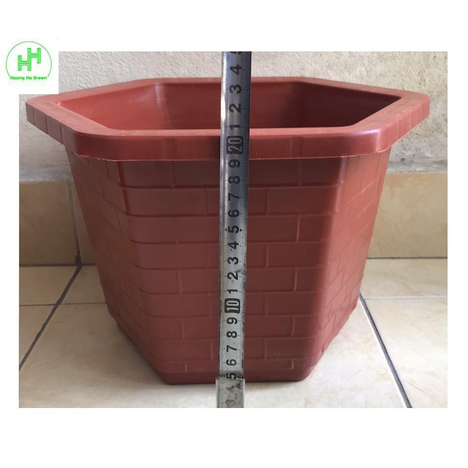 2 Chậu Nhựa Trồng Cây Cảnh, Hoa FA-380 Bình Thuận Plastics