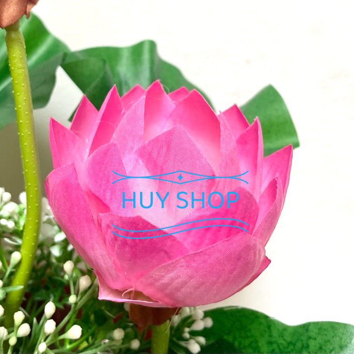 Chậu HOA SEN Vải cao cấp trang trí nhà cửa