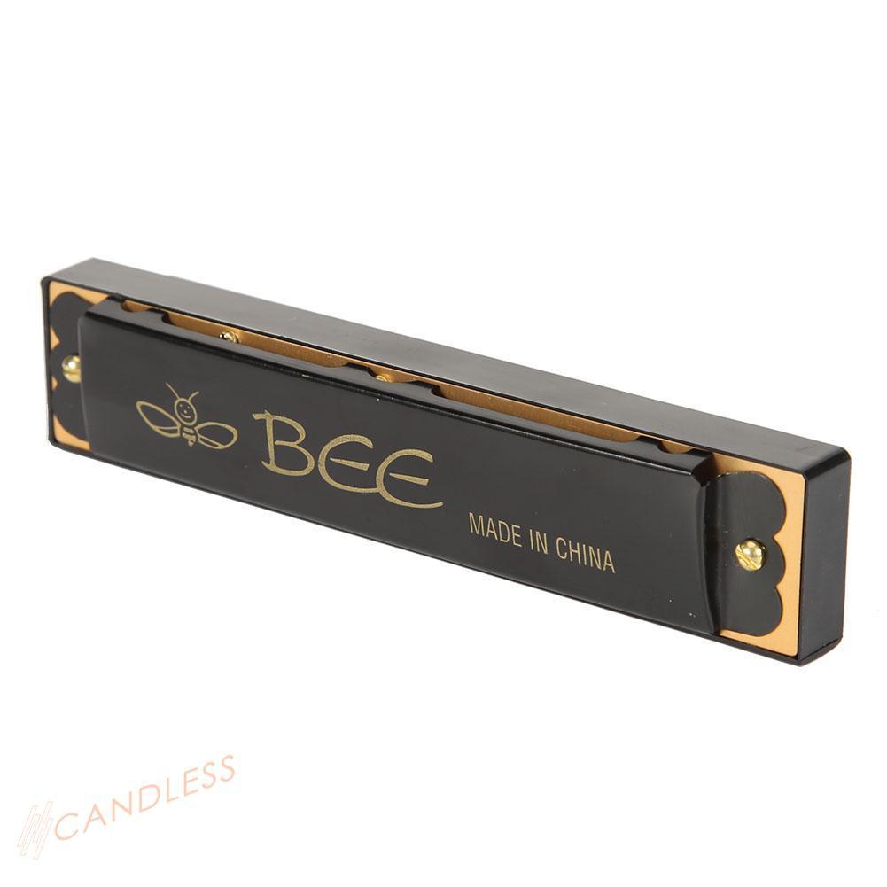 Kèn Harmonica 16 Lỗ Cho Người Mới Bắt Đầu