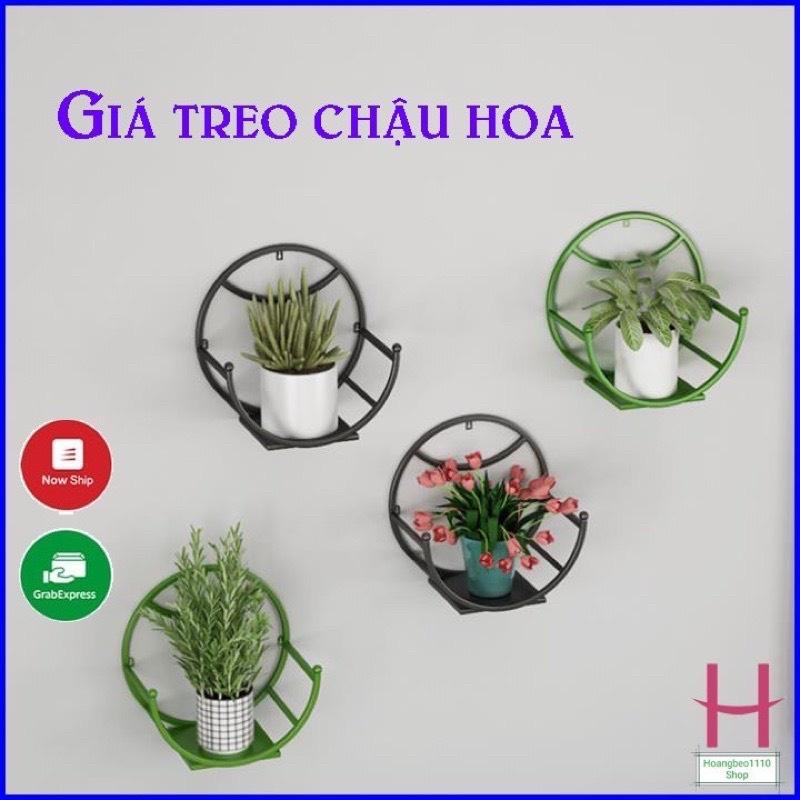 Giỏ Treo Hoa - Giá Treo Chậu Hoa Dán Tường Hình Bán Nguyệt