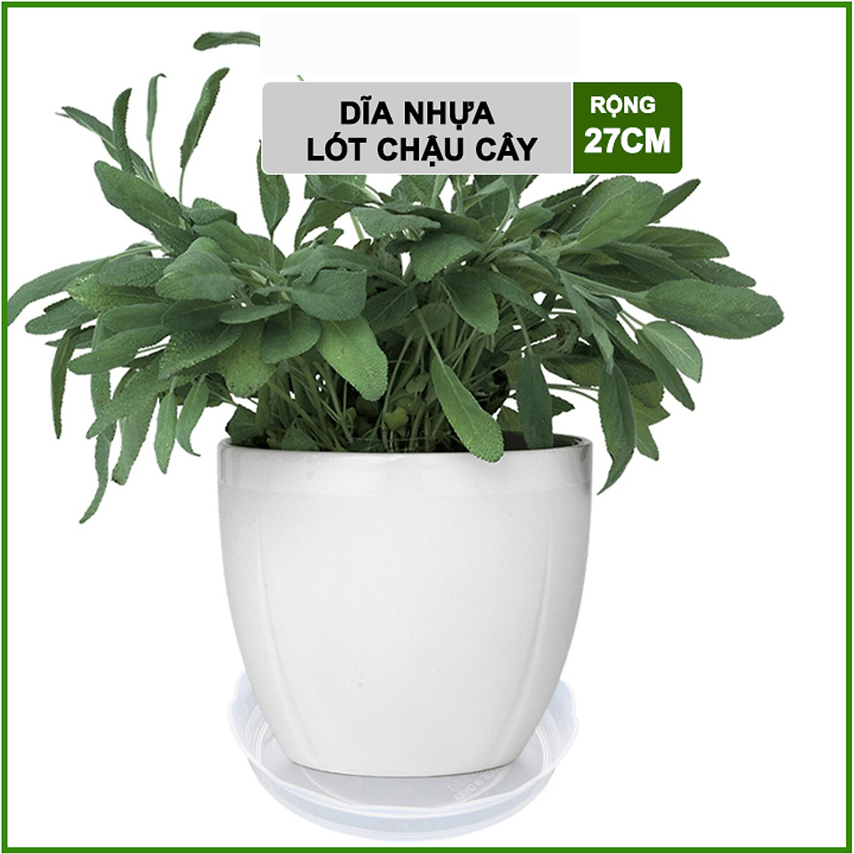 Đĩa nhựa lót chậu R27cm - Khay lót chậu cây, hoa kiểng