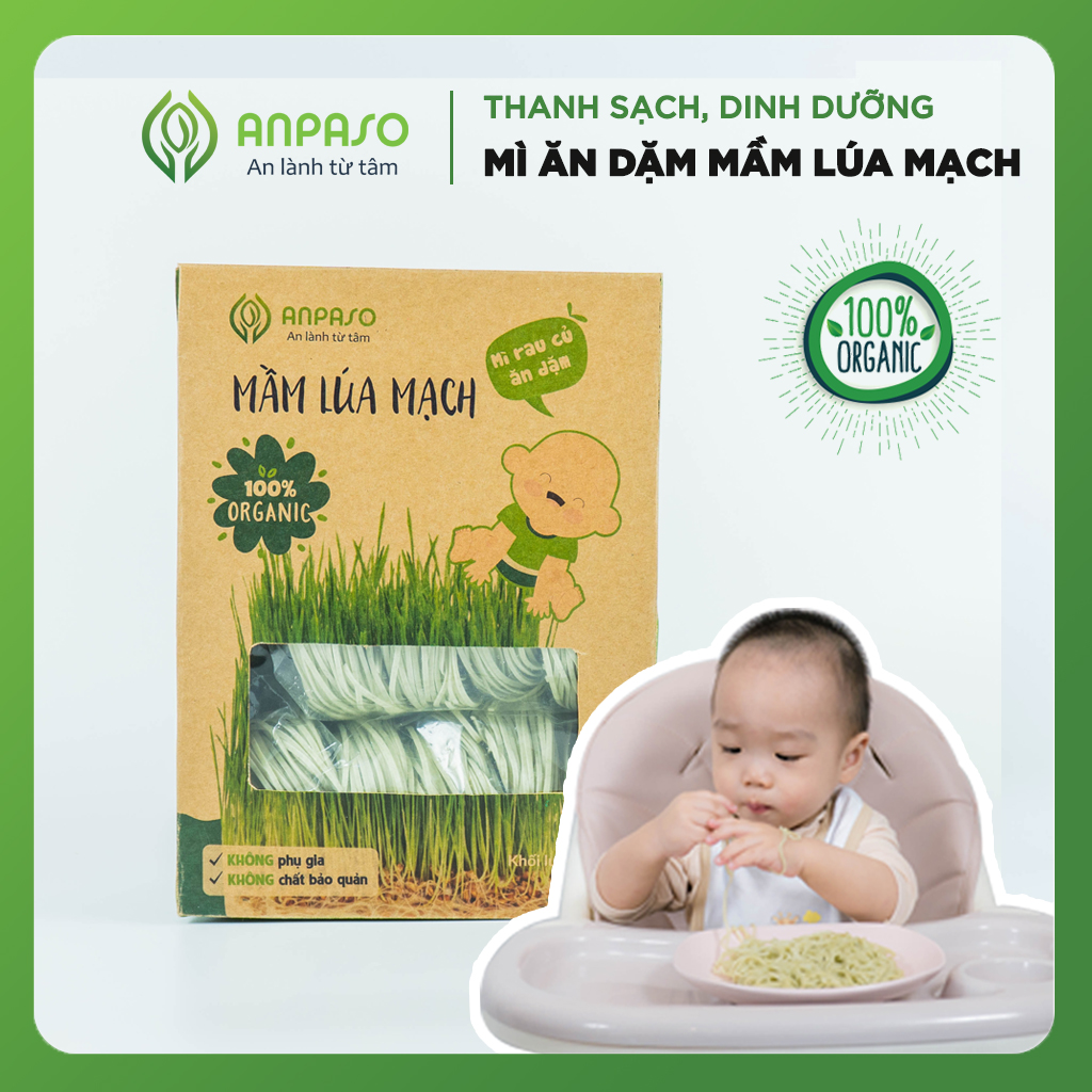 Mì Rau Củ Ăn Dặm Vị Mầm Lúa Mạch Organic Anpaso 300g