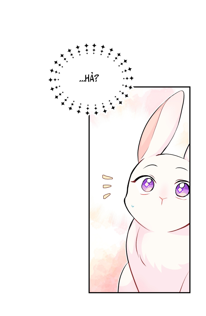 mối liên kết giữa báo đen và bé thỏ chapter 3 52
