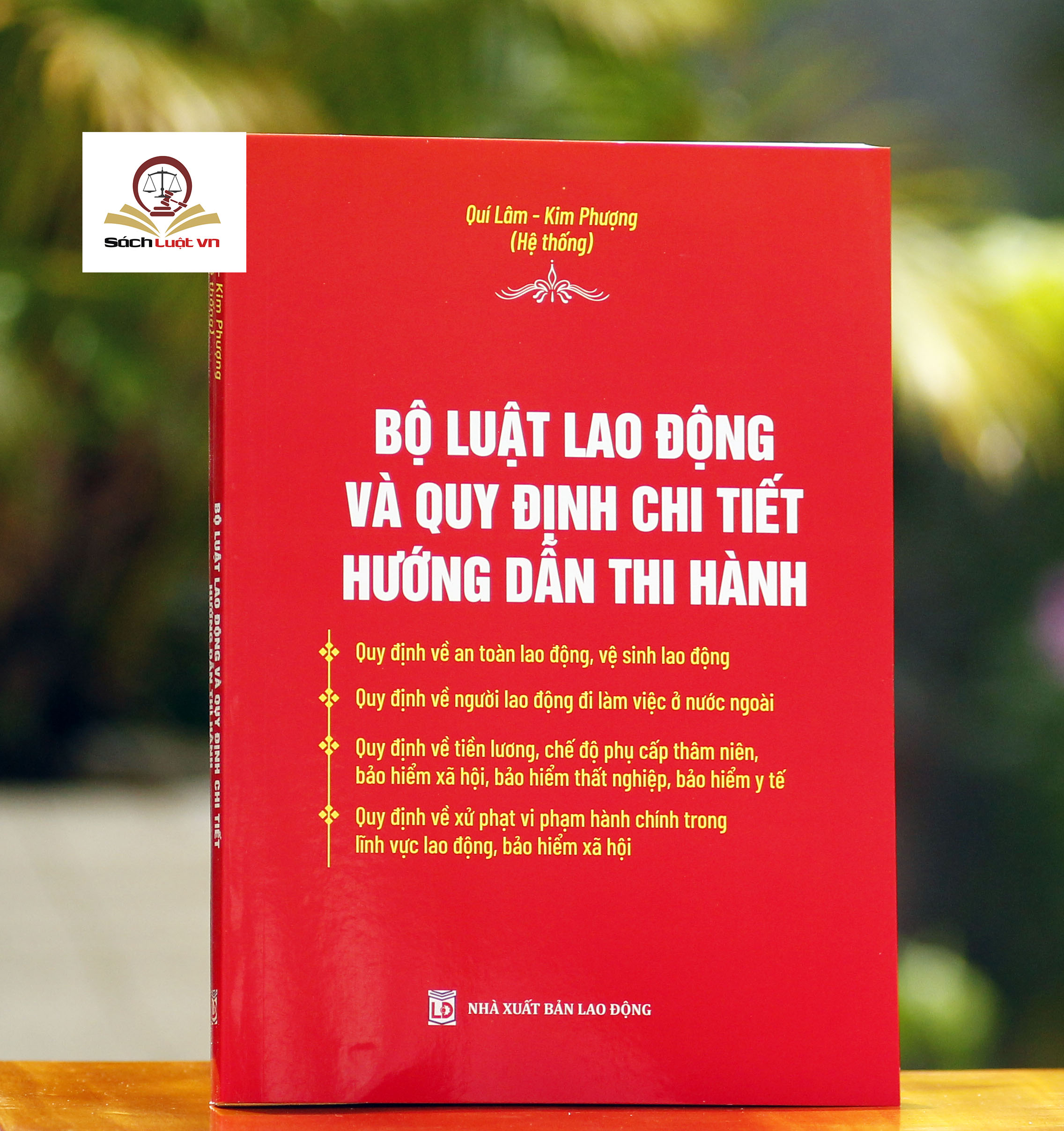 BỘ LUẬT LAO ĐỘNG VÀ QUY ĐỊNH CHI TIẾT HƯỚNG DẪN THI HÀNH