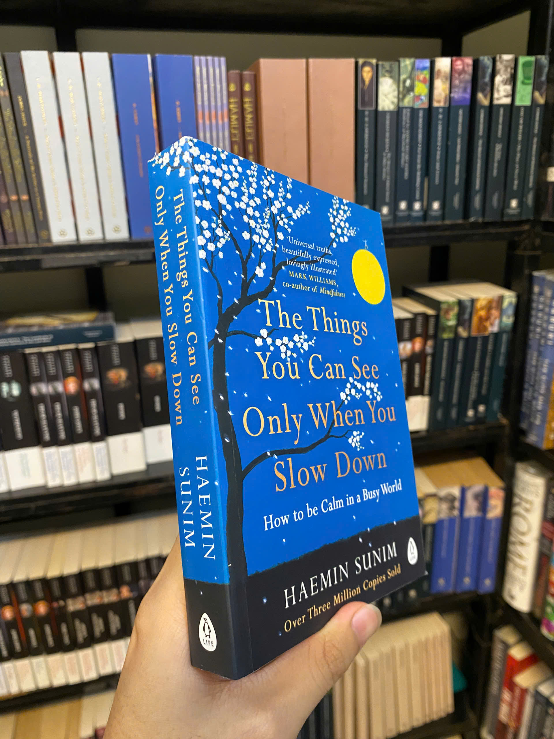Sách - The Things You Can See Only When You Slow Down: How to Be Calm and Mindful in a Fast-Paced World by Haemin Sunim | Bestseller English Nonfiction