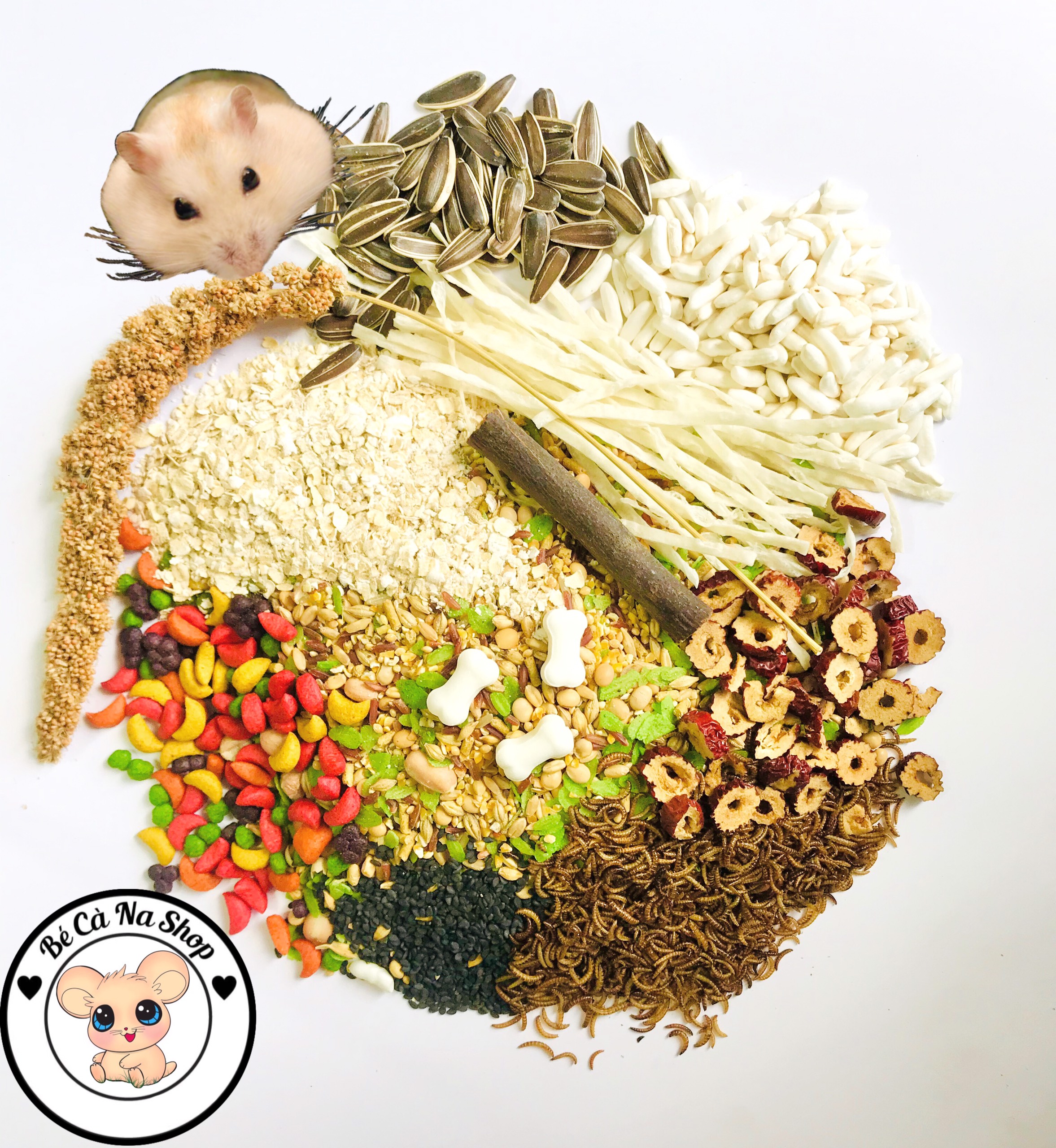 Thức ăn vip cao cấp, sang chảnh nhất cho hamster
