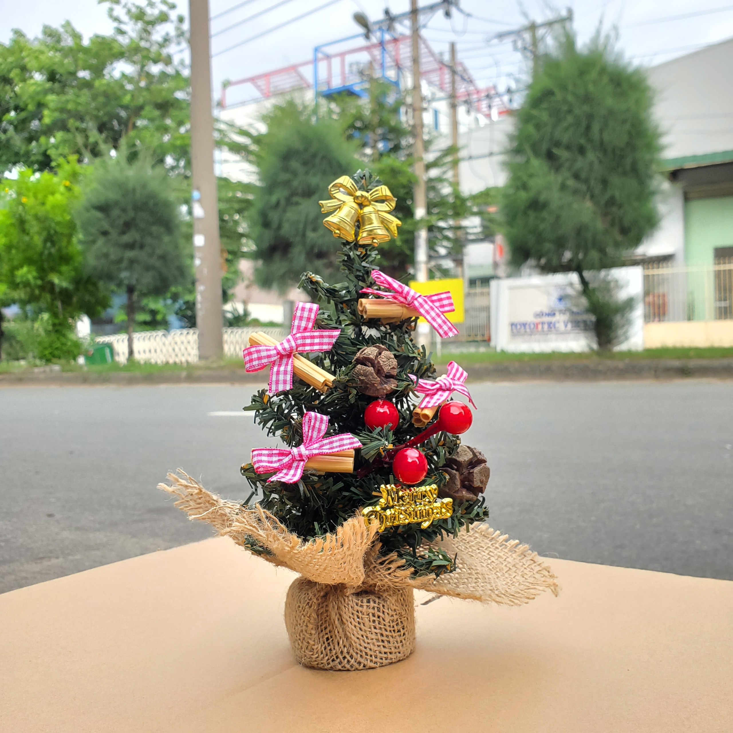 Cây Thông Nhí TNM10 Cây 20cm Trang Trí Giáng Sinh Cây Thông Noel