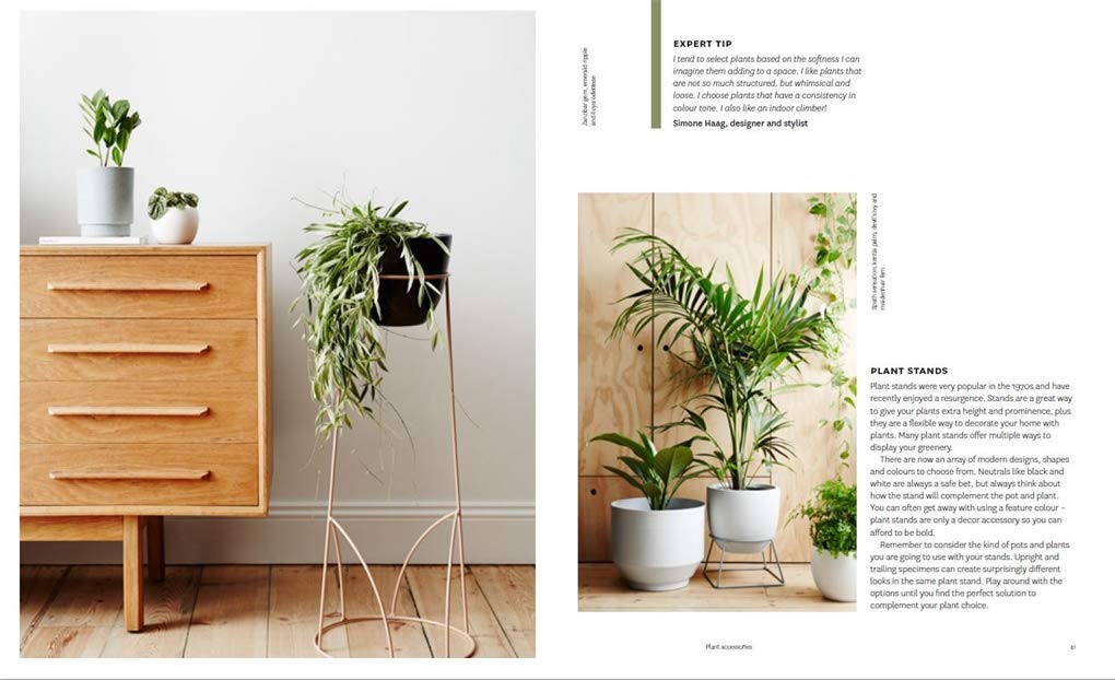 Plant Style: How To Greenify Your Space