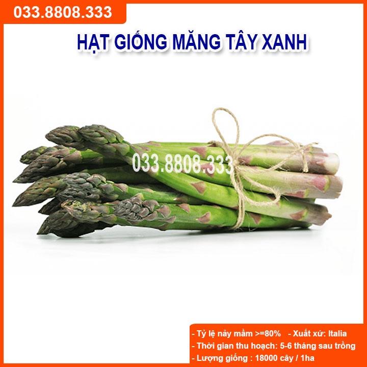 Hạt Giống Măng Tây Xanh - gói 1g