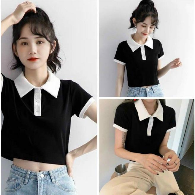 Áo polo croptop cổ phối màu basic thời trang NIEVE