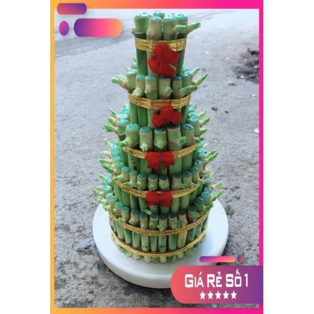 Cây Trúc Phát Tài Kèm Dĩa