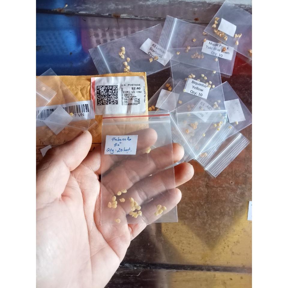 Hạt giống ớt Habanero