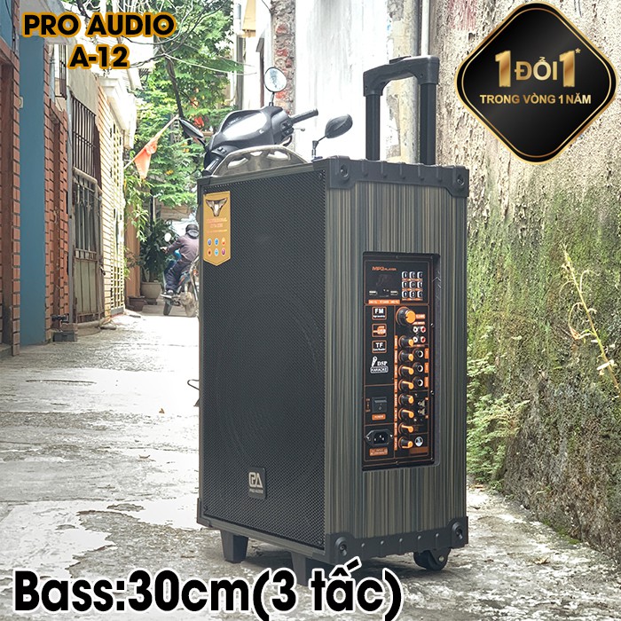 Loa Kéo Karaoke Cao Cấp Công Suất 250W-500W A-12/ SKT 300 Siêu Bass 30cm( 3 Tấc ) Hàng Chính Hãng Pro Audio