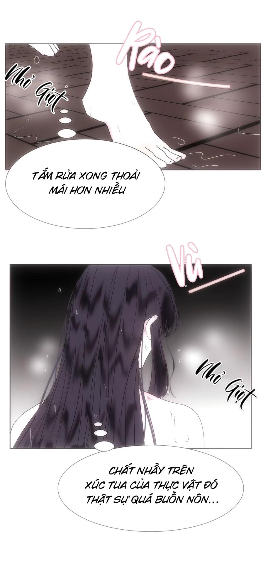 vài câu chuyện với sư tôn sau khi xuyên sách chapter 14 6