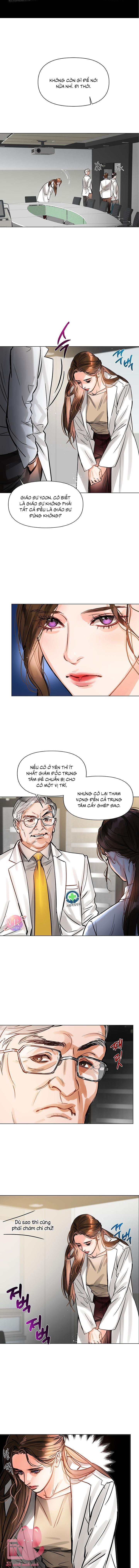 lion heart - trái tim sư tử chapter 2 7