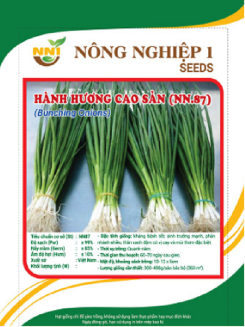Hạt giống rau hành hương cao sản