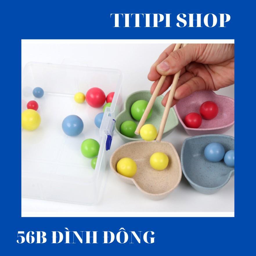Siêu giảm giá Bộ gắp bi gỗ rèn vận động MONTESSORI bản Đẹp 155k còn 90k