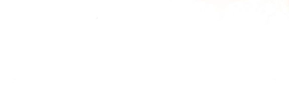 tôi trở thành vợ cũ của nam chính chapter 3.1 40