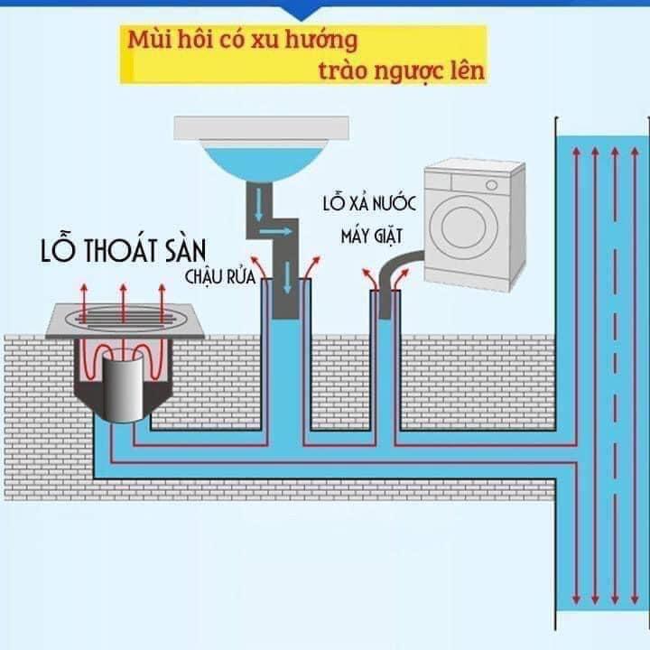 ỐNG CHẶN MÙI HÔI CỐNG - NGĂN CÔN TRÙNG TIỆN DỤNG