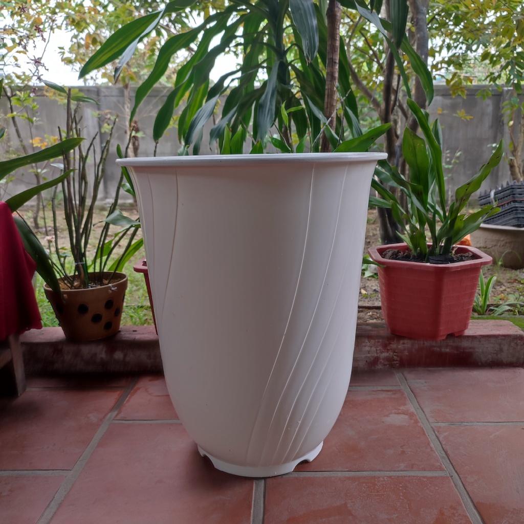 Chậu nhựa cao cấp trồng cây, hoa - Giá rẻ - Cao 55cm, Rộng 32 cm. Bền 8-10 năm.Tặng kèm 1Kg phân trùn quế khi mua