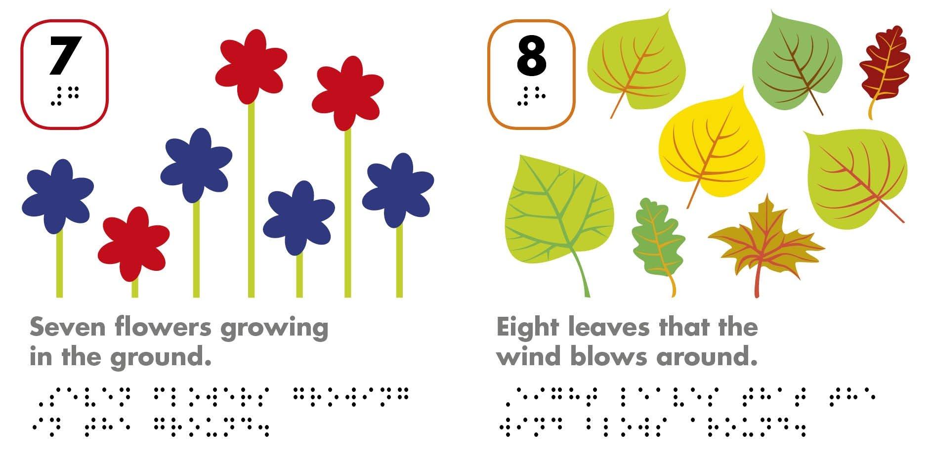 DK Braille Counting