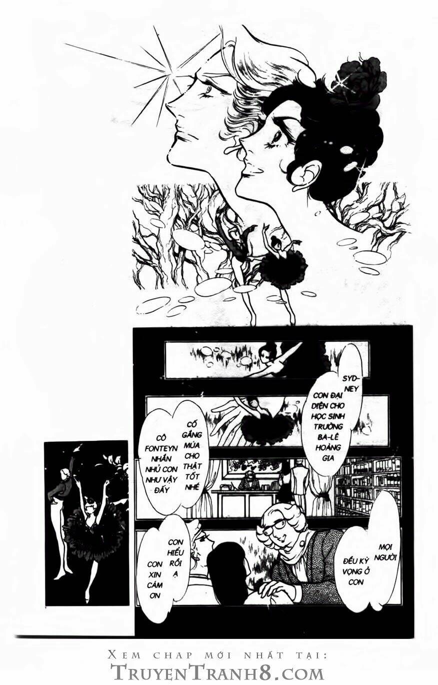 swan - vũ khúc thiên nga chapter 101 12