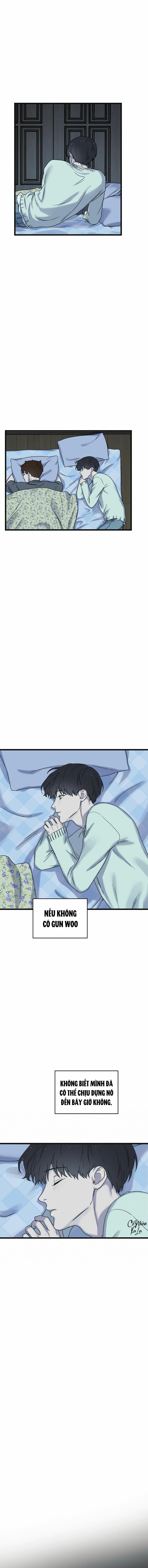 trùng phùng chapter 12 16