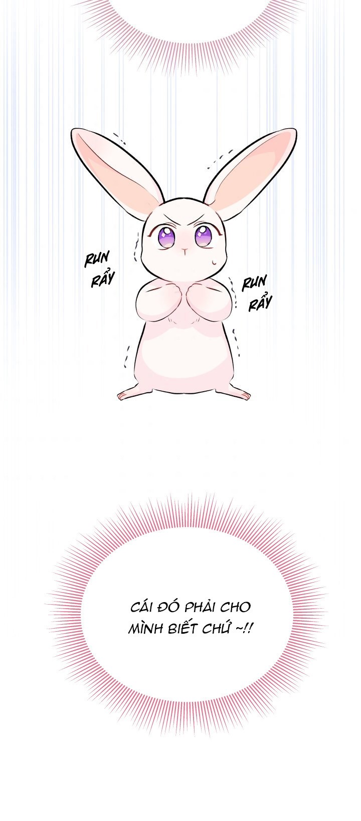 mối liên kết giữa báo đen và bé thỏ chapter 11 24