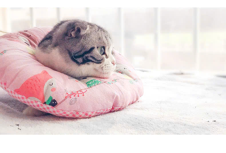 VÒNG CỔ THÚ CƯNG VÒNG CỔ LOA CHỐNG LIẾM CHO THỎ CHÓ MÈO TỪ 0.1-8KG MÃ 14 CHO CHÓ MÈO THỎ