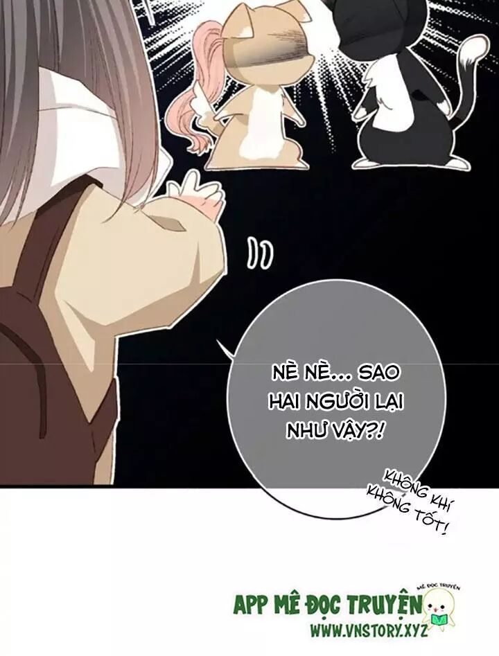 con tim rung động 2 chapter 62 7