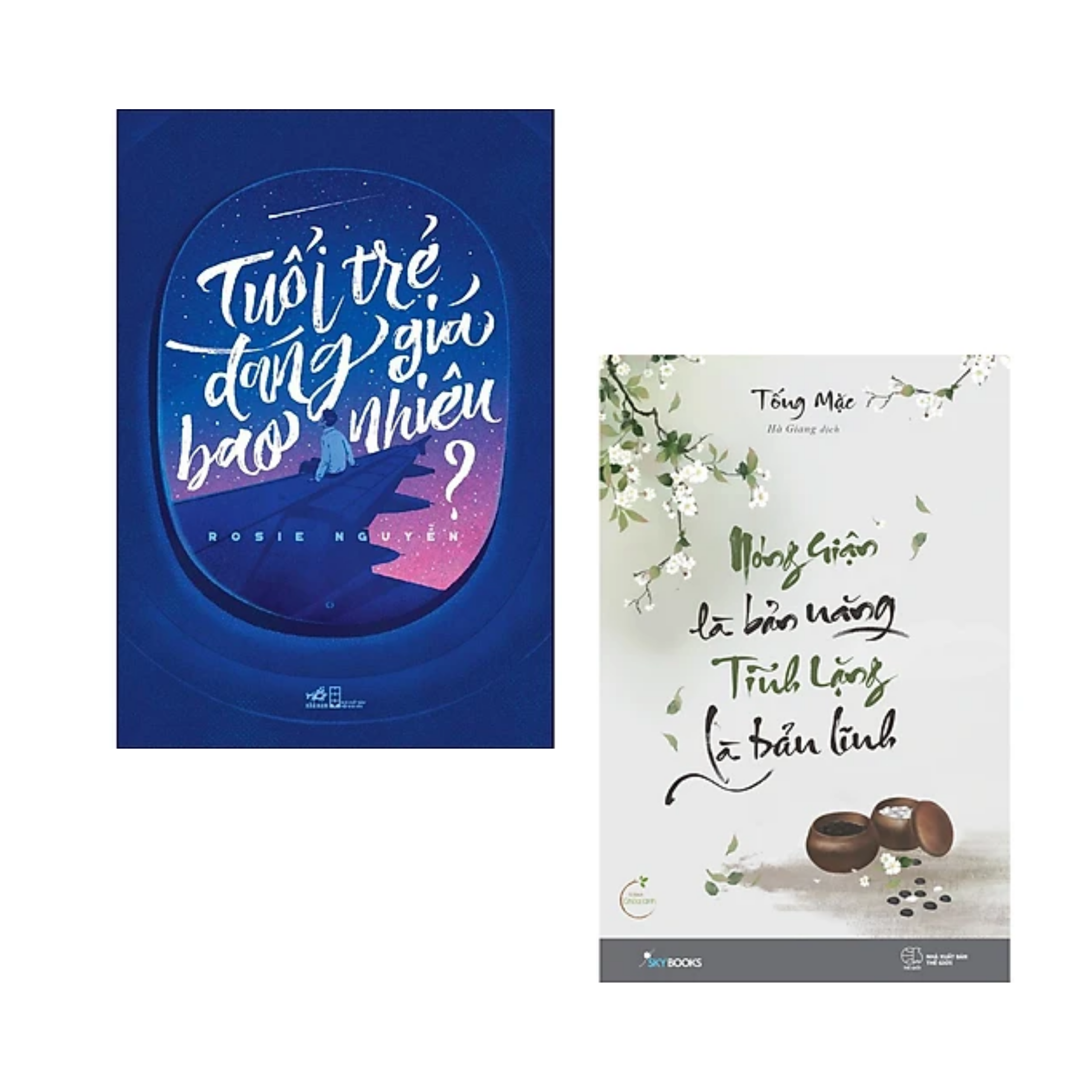 Combo 2 cuốn sách Tư Duy - Kĩ Năng Sống : Tuổi Trẻ Đáng Giá Bao Nhiêu  + Nóng Giận Là Bản Năng , Tĩnh Lặng Là Bản Lĩnh