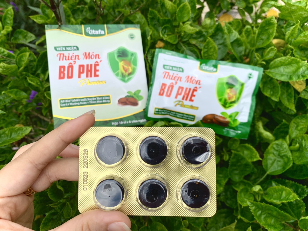 Viên ngậm Thiên Môn Bổ Phế Premium – Giúp giảm nhanh ngứa rát họng, đau họng, khản tiếng, giảm ho, bổ phế do viêm họng, viêm phế quản