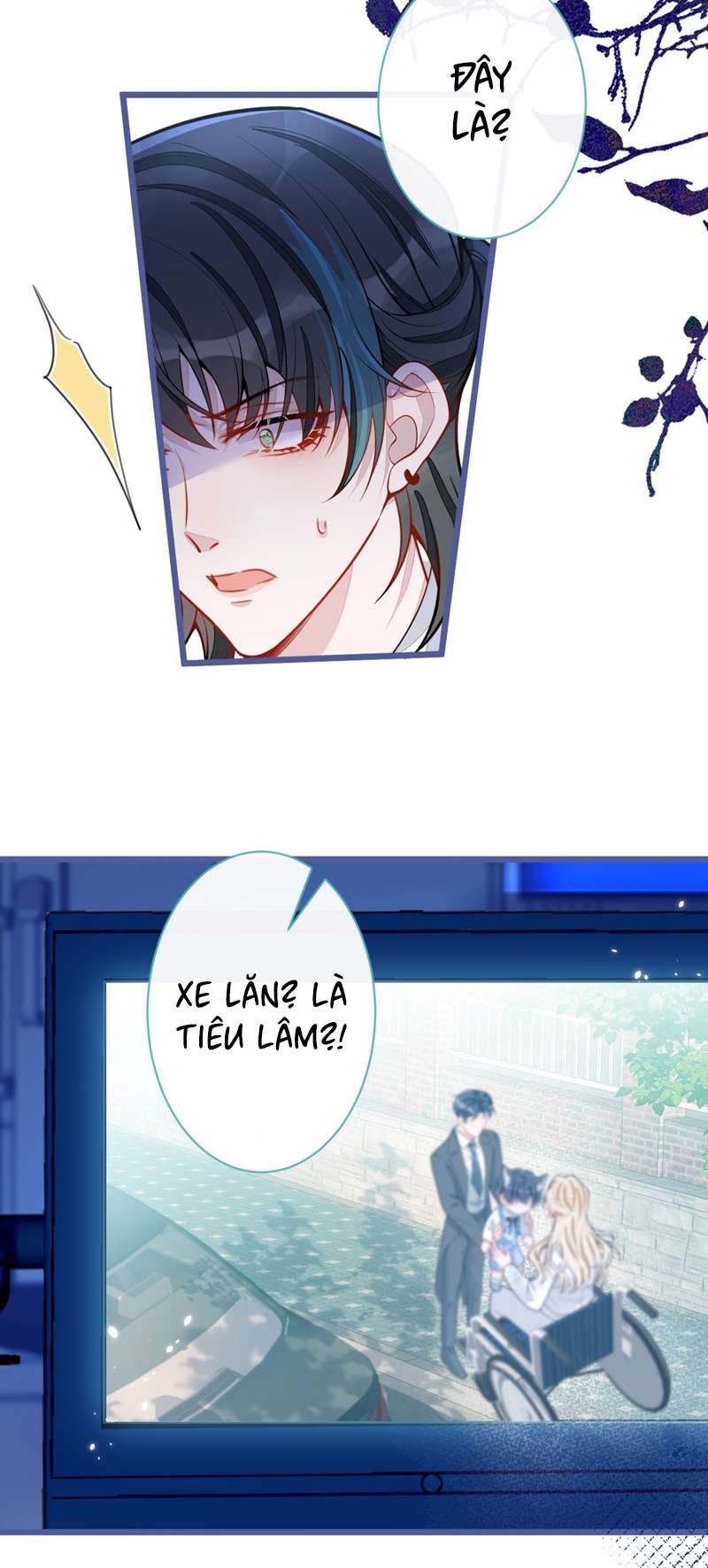 Báo Ân Của Sói chapter 47