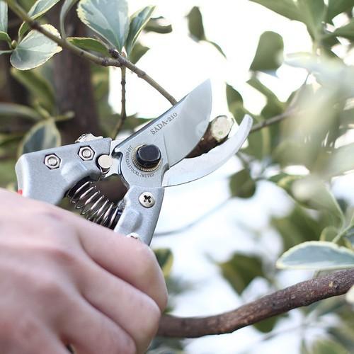 KÉO CẮT TỈA CÀNH CÂY NHẬT BẢN LƯỠI SẮC VĨNH VIỄN DÙNG LÀM VƯỜN CHĂM SÓC CÂY CẢNH BONSAI