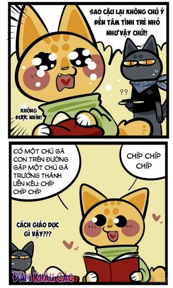 đời không như mình tưởng chapter 41 5