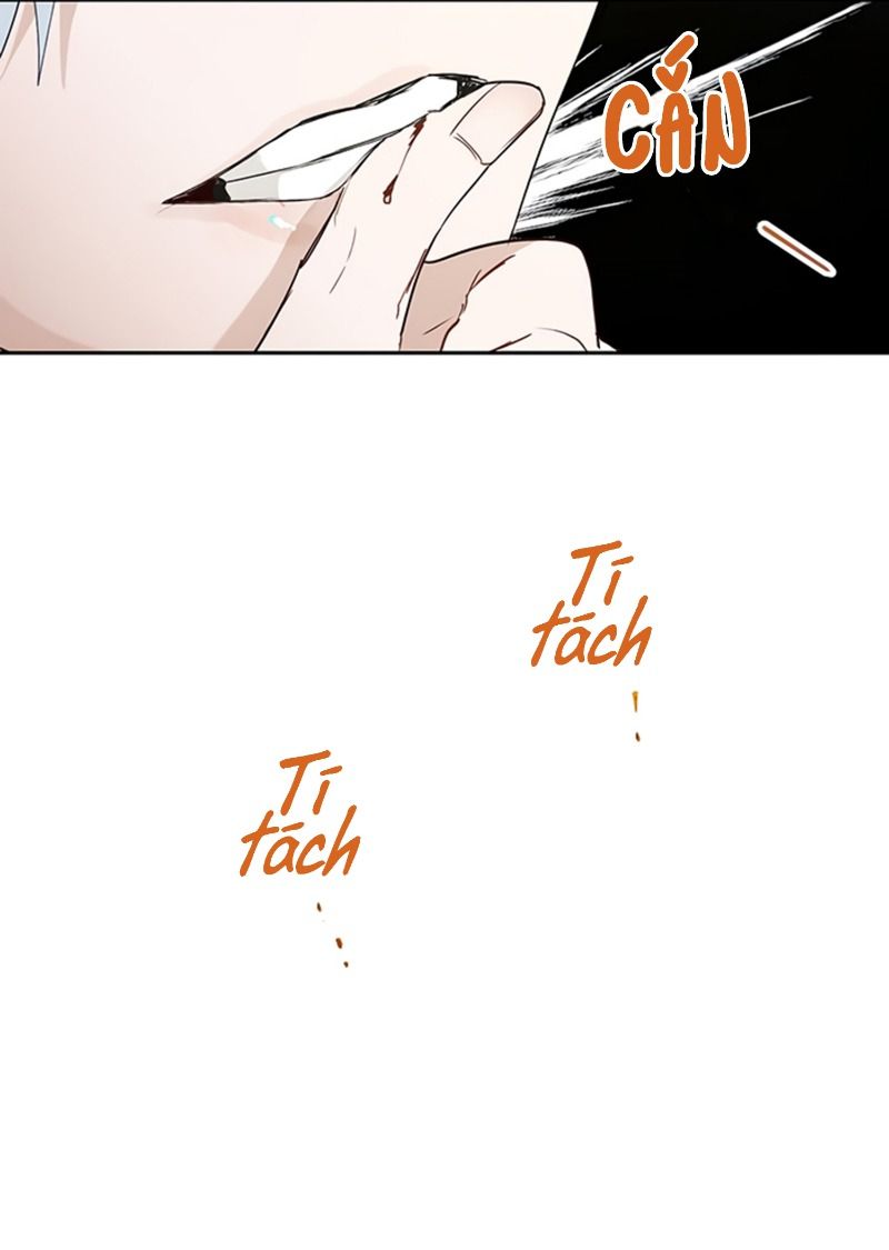 cách để cứu rỗi anh trai của nữ chính chapter 19 49