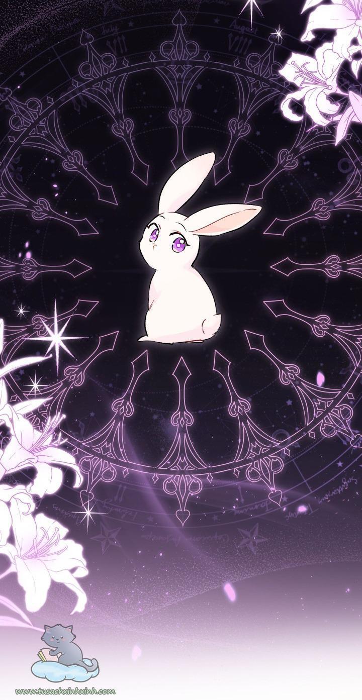 quan hệ cộng sinh giữa báo đen và thỏ trắng chapter 55 60