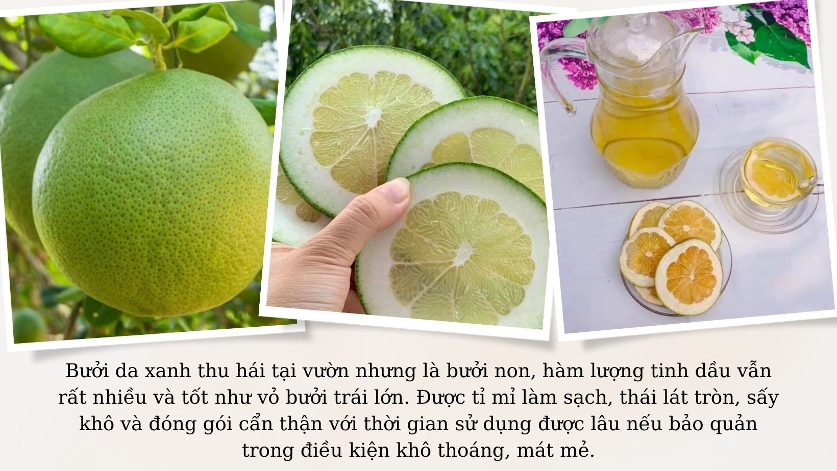 Bưởi thái lát sấy lạnh gói 100 gram - hàng loại 1